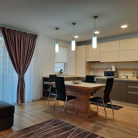 Sorin'S Comfortable Apartment Брашов Екстер'єр фото
