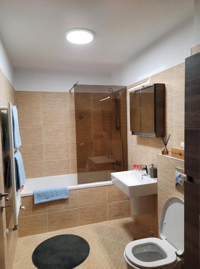 Sorin'S Comfortable Apartment Брашов Екстер'єр фото