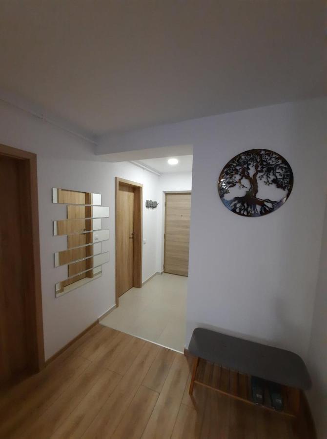 Sorin'S Comfortable Apartment Брашов Екстер'єр фото